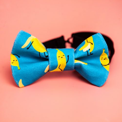 Mucha z Sosnowca – Wanna Banana